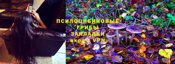 амф Аркадак