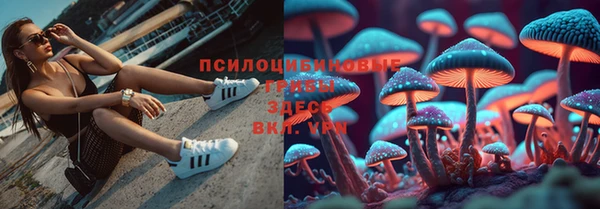 амф Аркадак