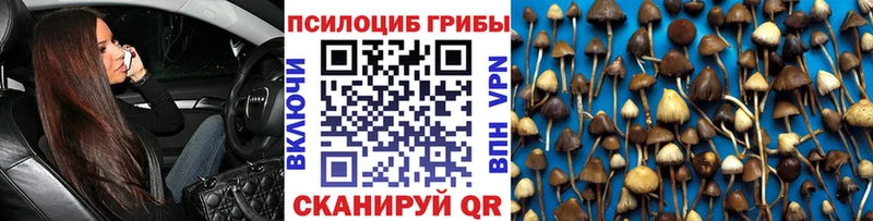 Галлюциногенные грибы Magic Shrooms  Купить  Луга 